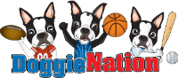 Up To 50% OFF On DoggieNation Clearance Items + FREE Shipping